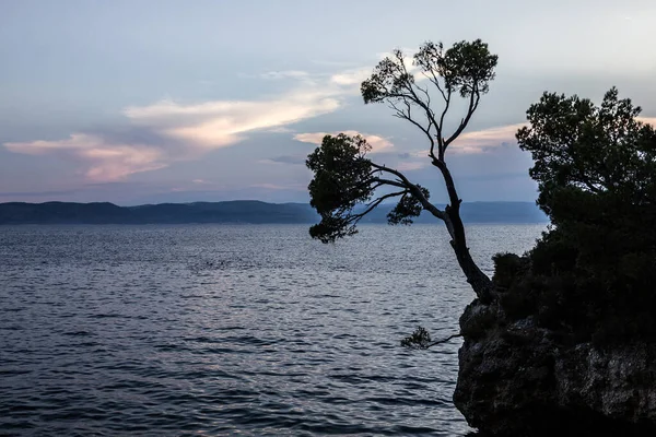 Croatie Brela Vue Sur Mer Bord Mer Mer Adriatique Dalmatie — Photo