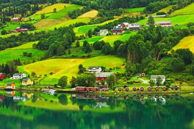 Norveç'te yeşil ormanlık Dağları ile çevrili bir köy.