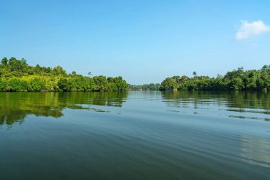 Sri Lanka, Koggala göl manzarası palmiyeler ve mavi sularda mangrov ağaçları. 