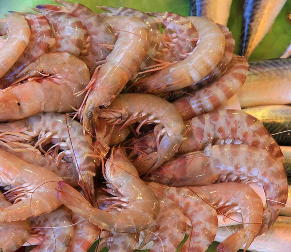 Shrimps Sea Food Market — Foto Stock