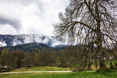 Bavyera, Almanya. Doğal göl manzarası, Linderhof Palace Parkı