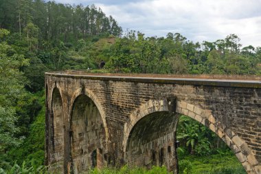 Sri Lanka, Ella 'daki Nine Arch Köprüsü, turistik bölge. Yeşil orman manzarası.