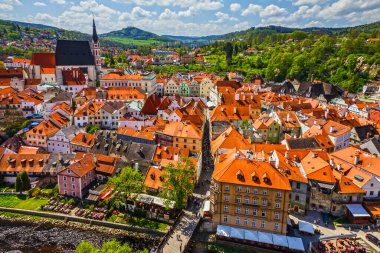 Türk stil süsü mavi kırmızı çiçek deseni