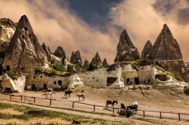 Kapadokya. Dağ manzarasında atlar, Türkiye