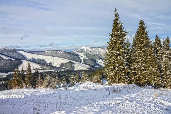 Mountain Winter Snowed Landscape Slovakia Jasna — Fotografia de Stock