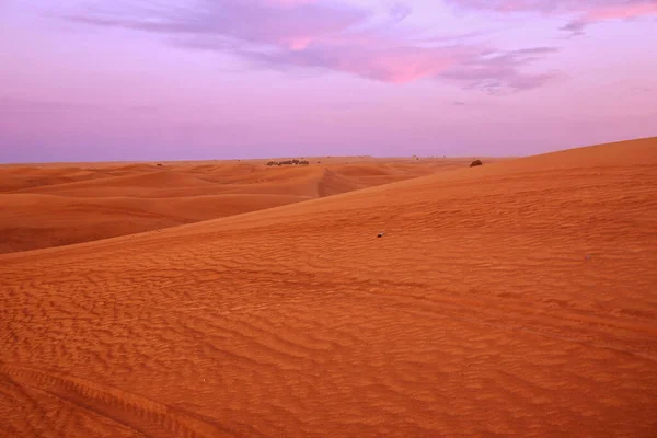 Zand Woestijn Zonsondergang Uitzicht Dubai Verenigde Arabische Emiraten — Stockfoto