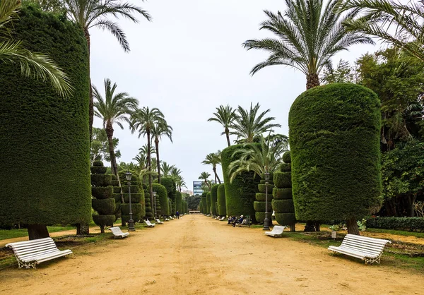 Groene Park Cadiz Spanje Genovese Tuin — Stockfoto