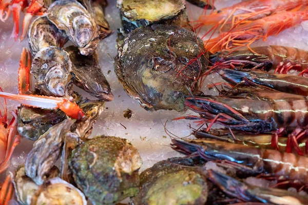 Shrimps Sea Food Oysters Shells Ice — Fotografia de Stock
