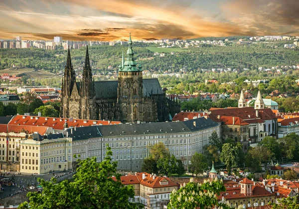 Prague Czech Republic Prague Castle Saint Vitus Cathedral Panoramic View — Stock Photo, Image
