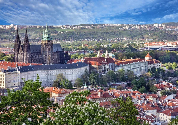Prague Castle Saint Vitus Cathedral Czech Republic Panoramic View — Stock Photo, Image