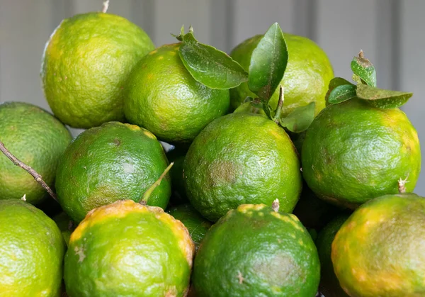 Zielone Owoce Pomarańczy Sri Lance — Zdjęcie stockowe