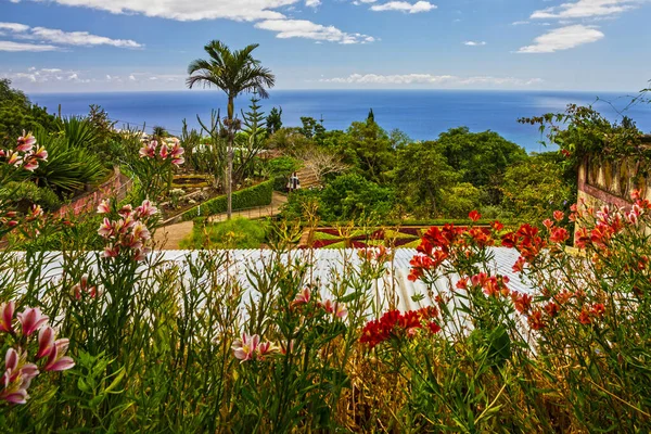 Madeira Island Sea View Botanical Garden Monte Funchal Madeira Portugal — Photo