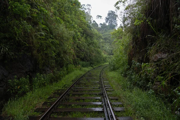 斯里兰卡Ella山区绿色丛林中的铁路 — 图库照片
