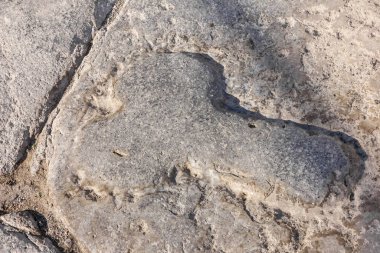 Pompeii, Napoli, İtalya 'da penis sembolü. Antik Roma şehrinin kalıntıları arasında 