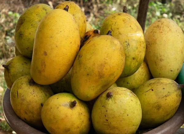 Mango Asian Yellow Fruits Bowl — Fotografia de Stock