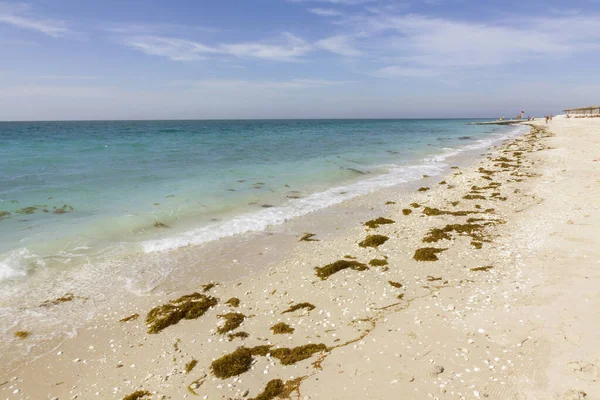 Efendi Bani Yas Deniz Plajı Abu Dabi Birleşik Arap Emirlikleri — Stok fotoğraf