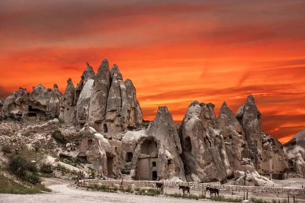 Cappadocia Rock Τοπίο Απογευματινή Θέα Άλογα Και Φωτεινό Κόκκινο Ηλιοβασίλεμα — Φωτογραφία Αρχείου