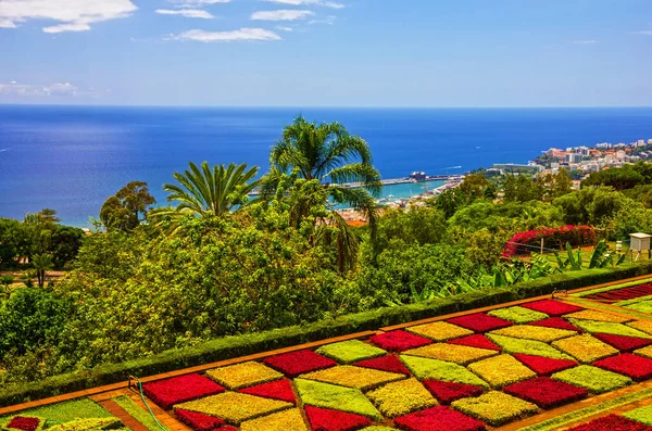 Madeira Island Landscape Portugal Botanical Garden Monte Funchal — Fotografia de Stock