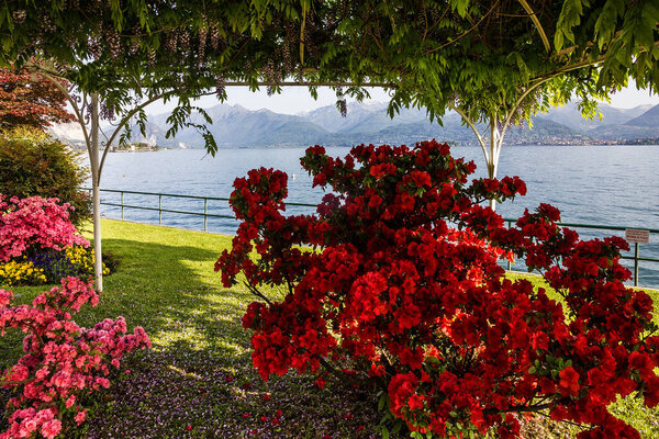 Maggiore lake, Stresa embankment, Italy, Lombardy. 