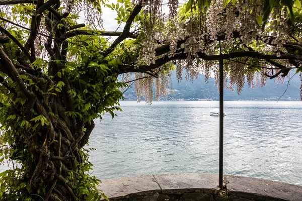 Como Lake Landscape Menaggio Italy Lombardy — 图库照片
