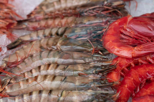 Shrimps Fresh Boiled Sea Food Ice — Foto Stock