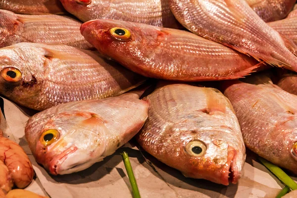 Рыба Рынке Сеафуд Испания — стоковое фото