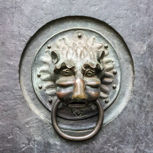 Frappe Porte Lion Nuremberg Allemagne — Photo