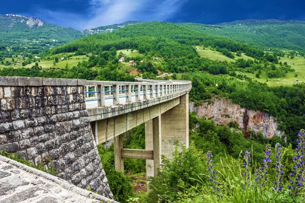 Pont Paysage Montagneux Monténégro Durdevica Tara Arc Pont Dans Les — Photo
