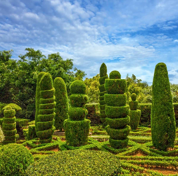 Portekiz Funchal Yeşil Park Dekorasyonu — Stok fotoğraf