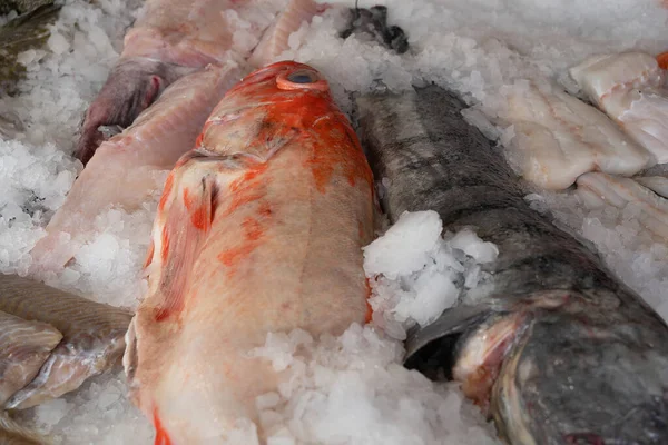 Peixe Fresco Alimento Mar Gelo — Fotografia de Stock