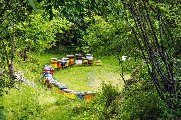 Colored bee houses on green meadow in countryside of Montenegro.