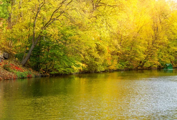 Autumn Picturesque Lake Landscape Yellow Leaves — Stok fotoğraf