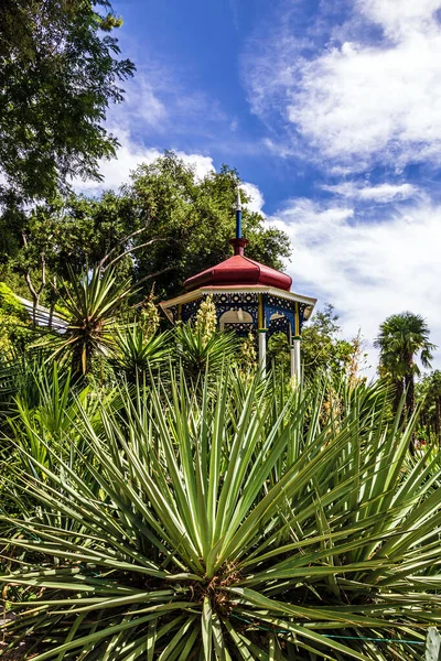 Nikitskiy Botanical Garden Yalta Krym — Stockfoto