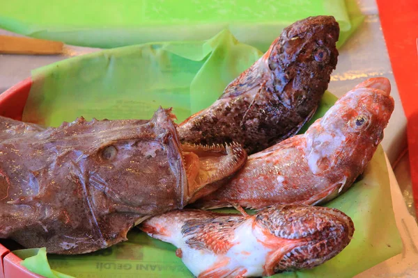 Морская Рыба Рынке Турция — стоковое фото