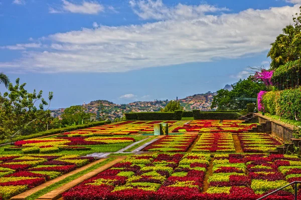 Botanische Tuin Monte Funchal Madeira Portugal — Stockfoto