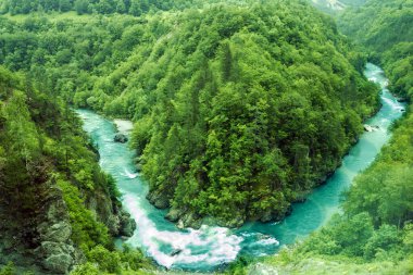 Yeşil tepeler ve dağ nehir. Doğal peyzaj, Karadağ