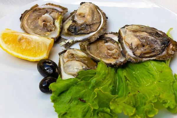 Oysters on the plate with olives and lemon