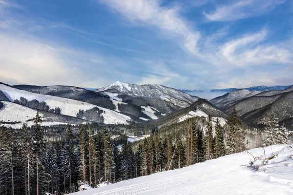 Vinter Tatry Landskap Skog Slovakien — Stockfoto