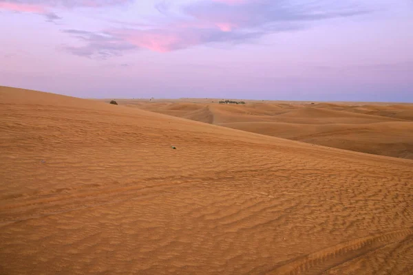 Sand Desert Sunset View Dubai United Arab Emirates — Foto de Stock