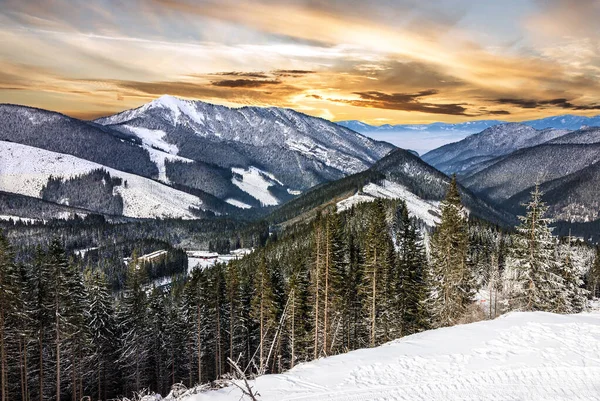 Winter Mountain Forest Snow Sunset Landscape — Stockfoto