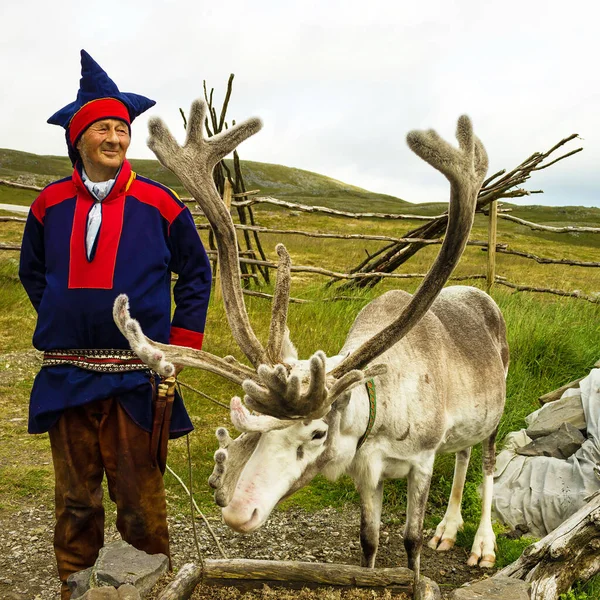 Honningsvag Norway May 2022 Deer Reindeer Breeder Dressed National Clothes — Fotografia de Stock