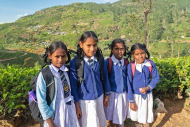 Nuwara Eliya, Sri Lanka - Jan 30, 2022: Group of local tamil school girls on tea plantation in Sri Lanka.