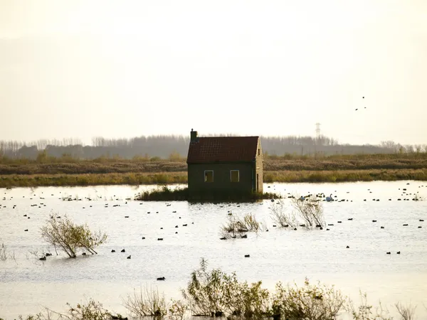 Paisaje Tiengemeten Holanda —  Fotos de Stock