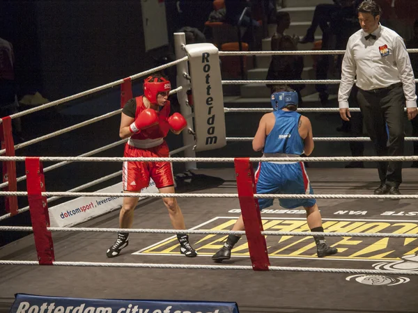 Partido de boxeo femenino —  Fotos de Stock