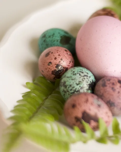 Painted Easter eggs big and small — Stock Photo, Image