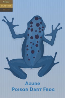 Azure Poison Dart Frog Vector Illustration clipart