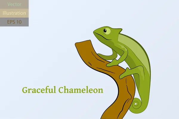 Elegantní chameleon vektorové ilustrace — Stockový vektor