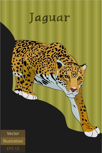 Ilustração do Vetor Jaguar —  Vetores de Stock