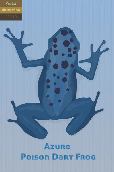 Azure Poison Dart Frog Vector Illustration — Stock Vector