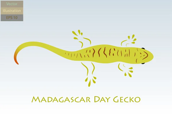 Madagascar Day Gecko Vector Illustration — Stock Vector